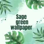 sage green wallpaper android application logo